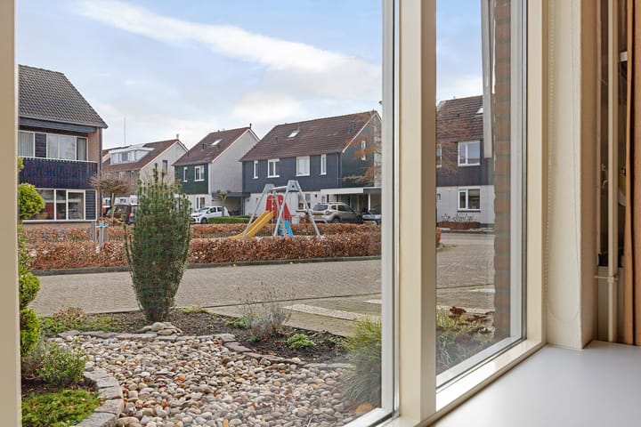 Foto 19 van Zwenkgras 22