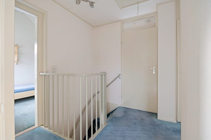 Foto 22 van Zwenkgras 22