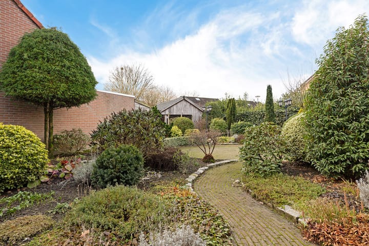 Foto 35 van Zwenkgras 22