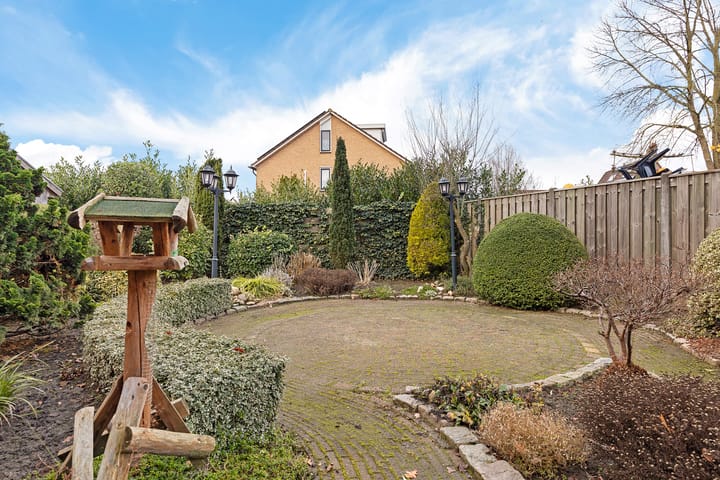 Foto 37 van Zwenkgras 22