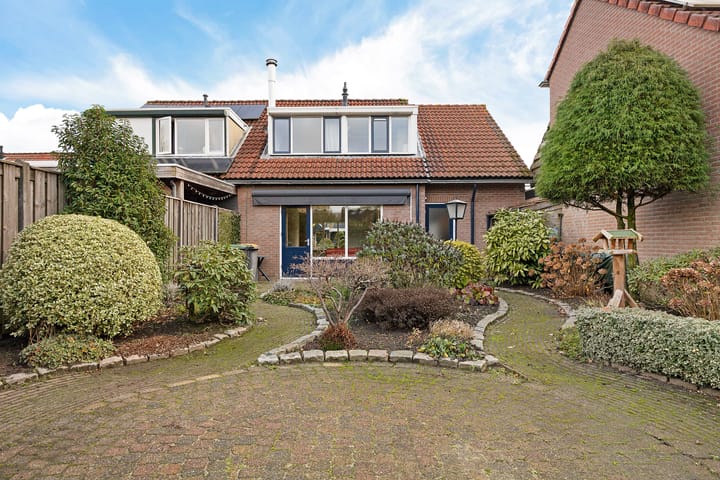 Foto 38 van Zwenkgras 22