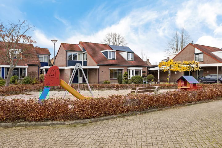 Foto 42 van Zwenkgras 22