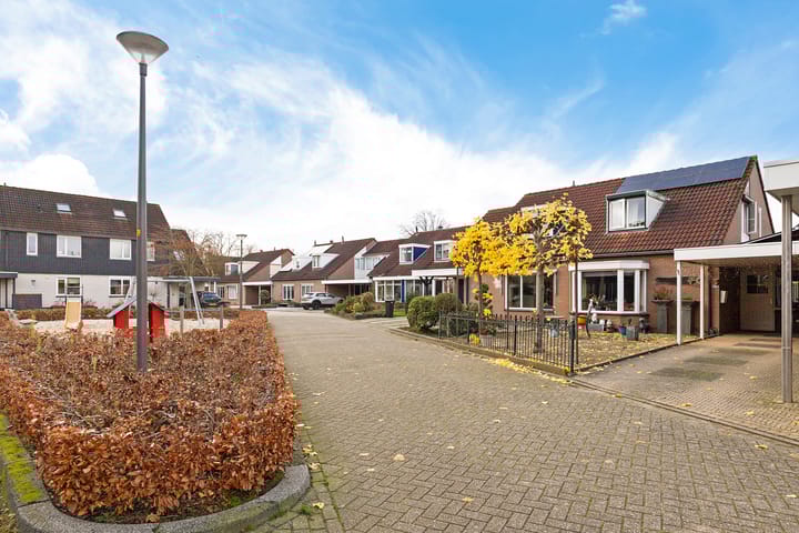 Foto 43 van Zwenkgras 22