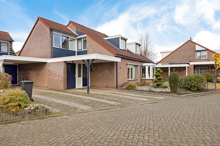 Foto 45 van Zwenkgras 22