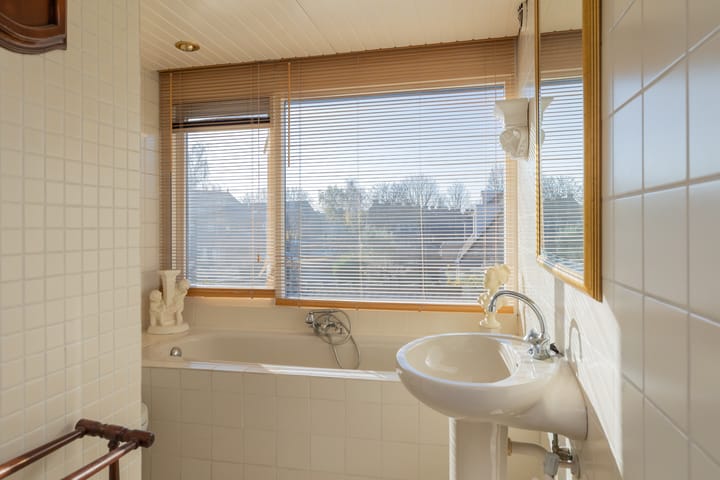 Foto 28 van Roland Holstheem 74