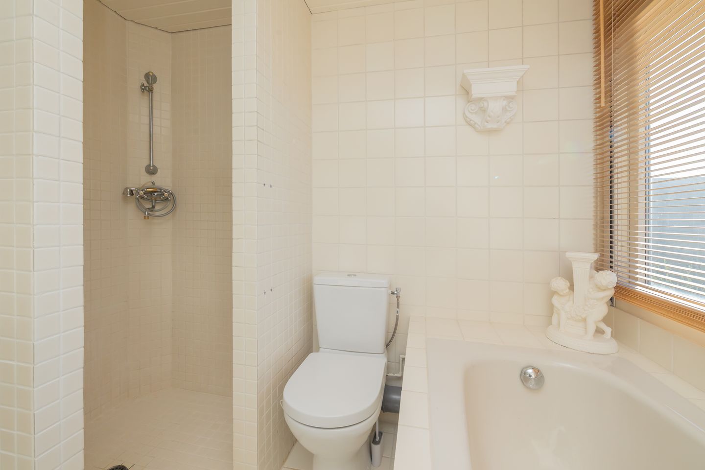 Foto 29 van Roland Holstheem 74