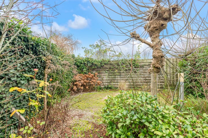 Foto 37 van De Bonkelaar 19