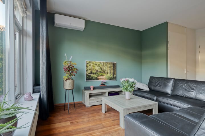 Foto 4 van Moerasvaren 42