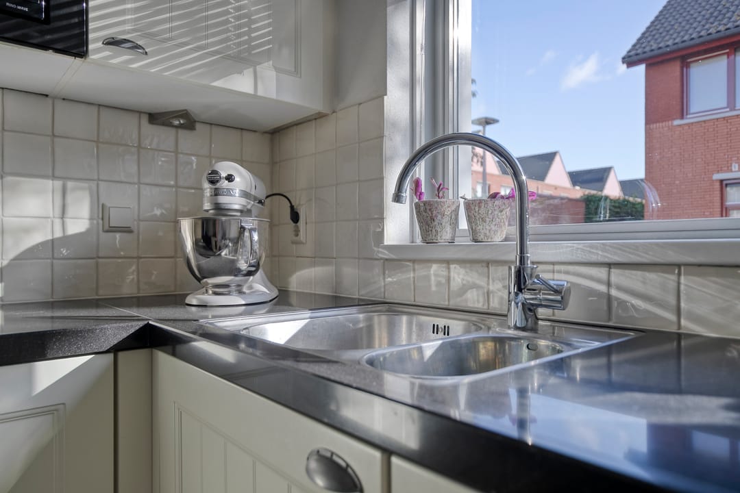 Foto 11 van Moerasvaren 42