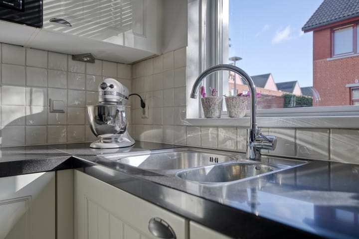 Foto 11 van Moerasvaren 42