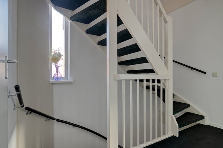 Foto 13 van Moerasvaren 42