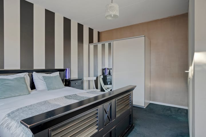 Foto 16 van Moerasvaren 42