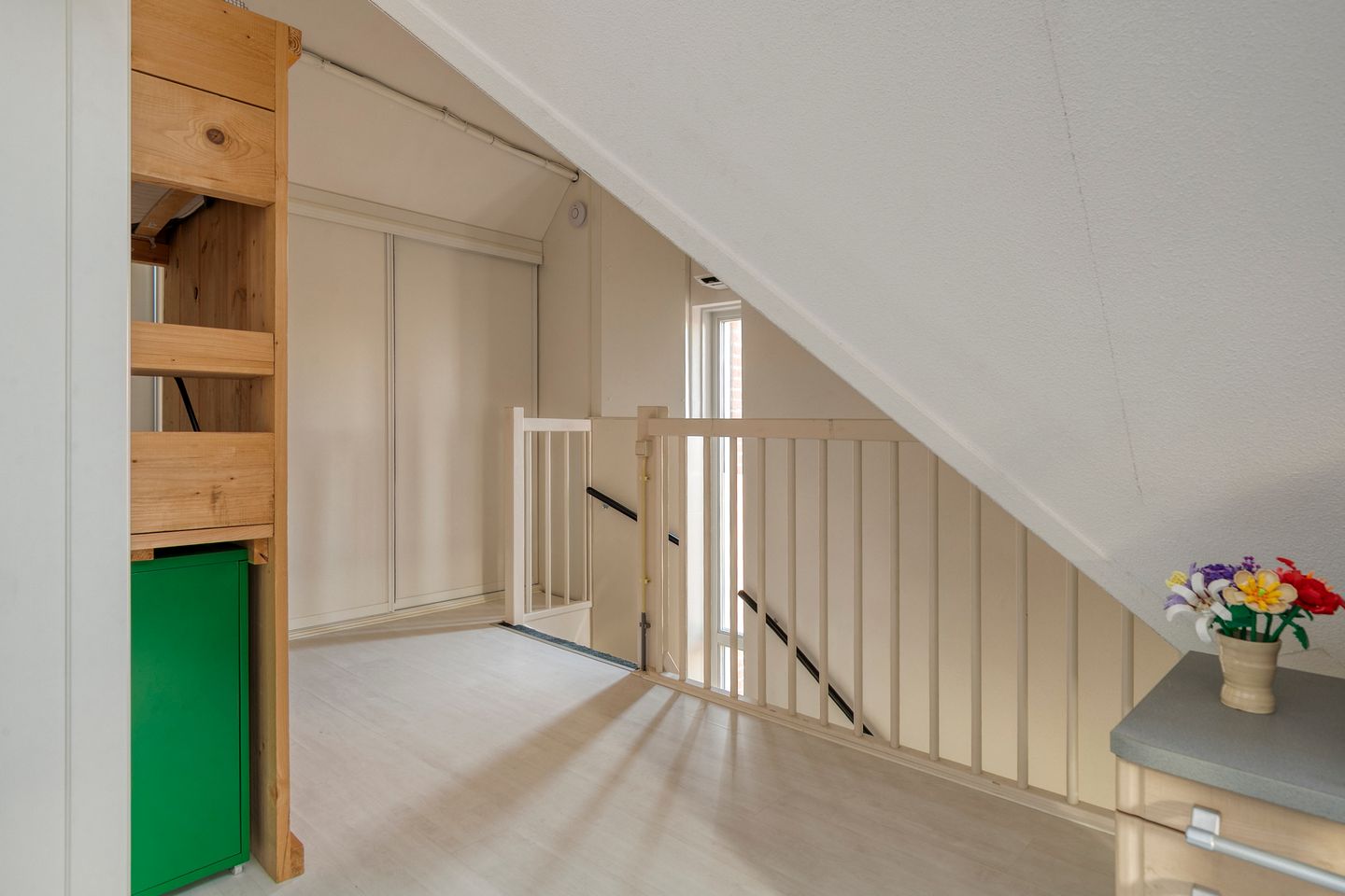 Foto 20 van Moerasvaren 42