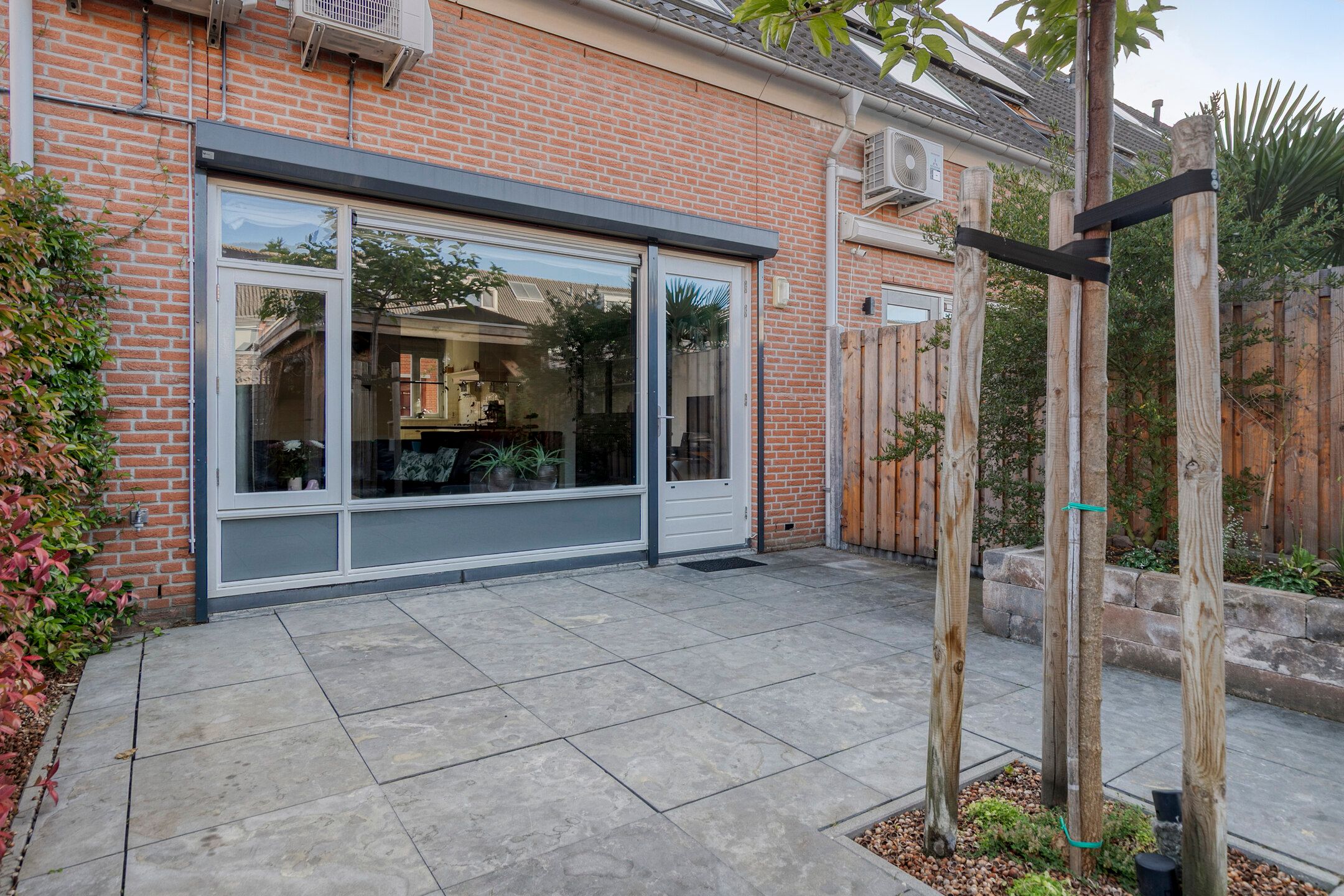 Foto 24 van Moerasvaren 42