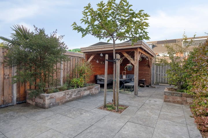 Foto 25 van Moerasvaren 42