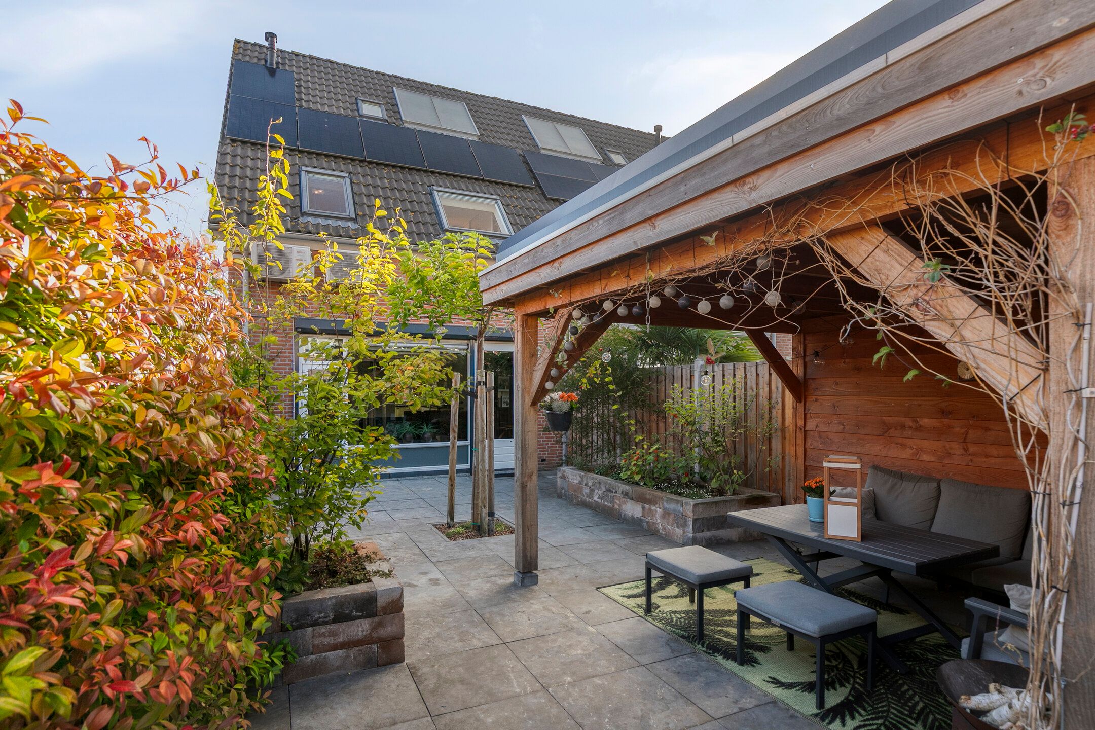 Foto 27 van Moerasvaren 42