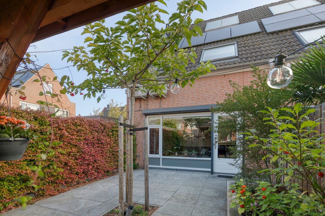 Foto 28 van Moerasvaren 42