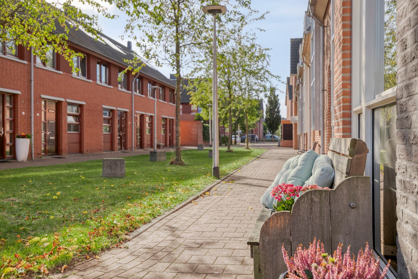 Foto 29 van Moerasvaren 42