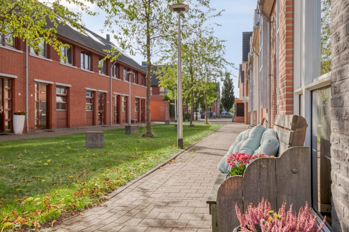 Foto 29 van Moerasvaren 42