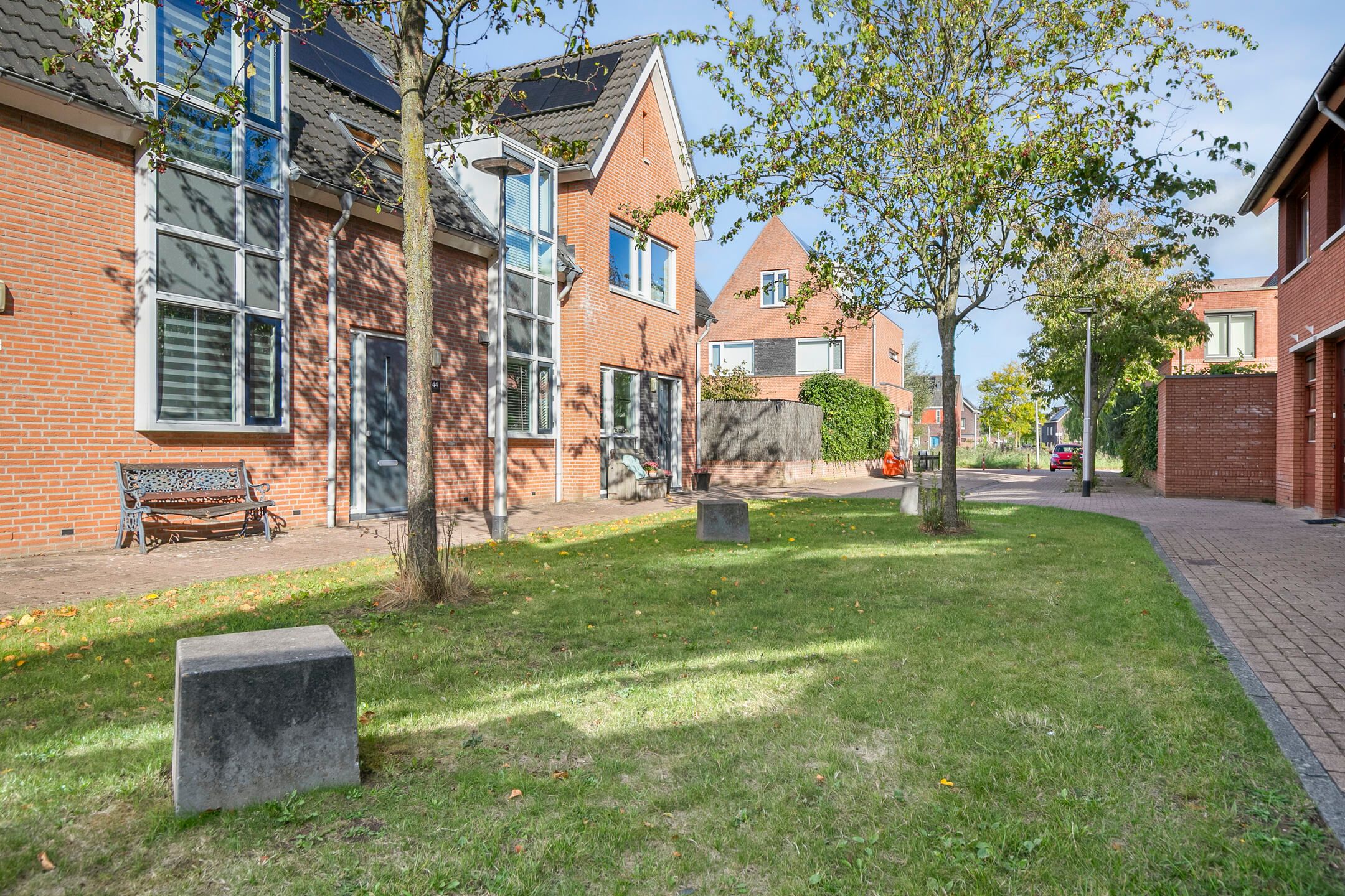 Foto 30 van Moerasvaren 42