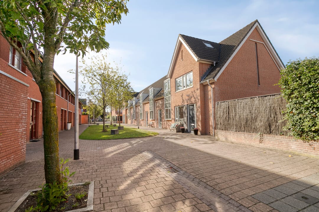 Foto 31 van Moerasvaren 42