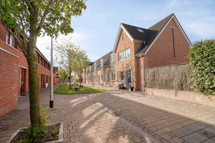 Foto 31 van Moerasvaren 42