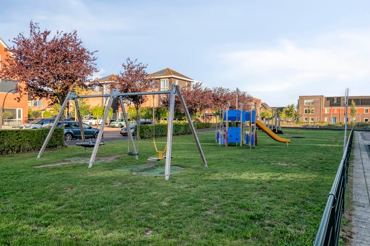 Foto 32 van Moerasvaren 42