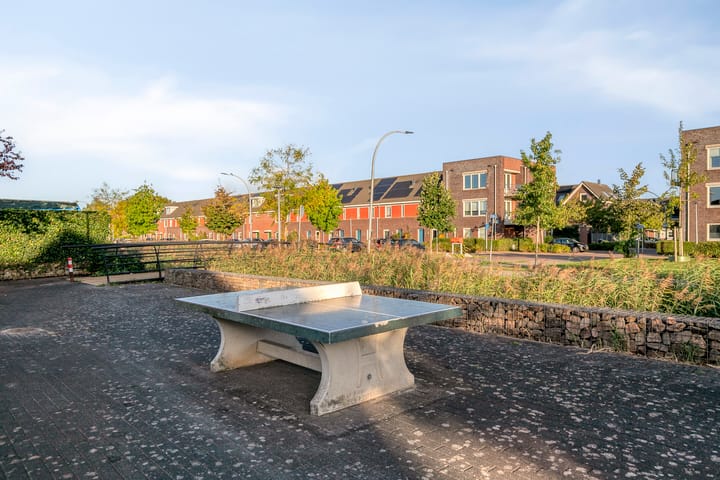 Foto 33 van Moerasvaren 42