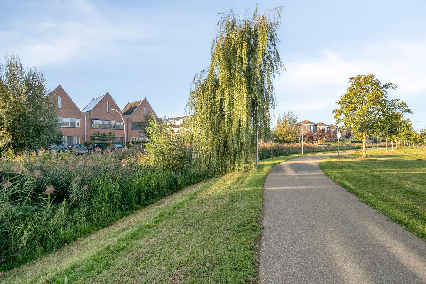 Foto 34 van Moerasvaren 42