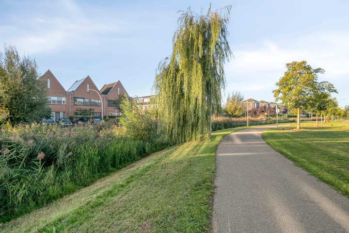 Foto 34 van Moerasvaren 42