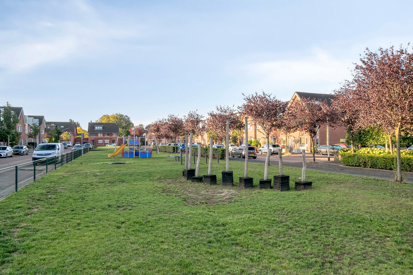 Foto 35 van Moerasvaren 42