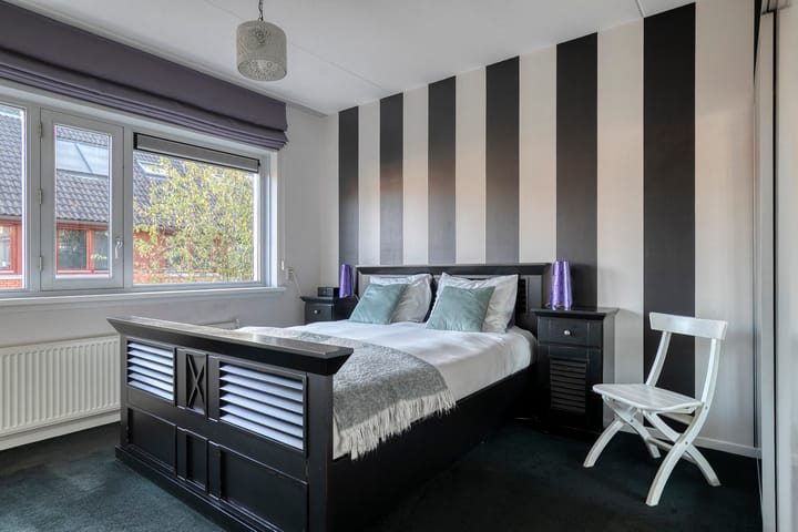 Foto 14 van Moerasvaren 42