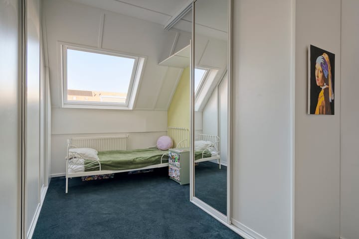 Foto 17 van Moerasvaren 42