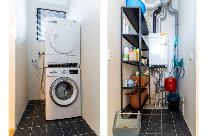 Photo 3 of Koolmees 10