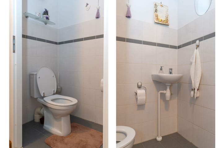 Photo 5 of Koolmees 10