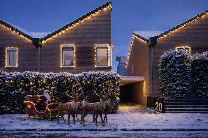 Vatsel 20 main image