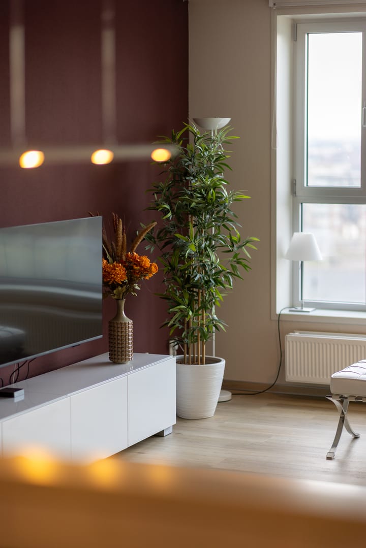 Foto 12 van Kratonkade 652