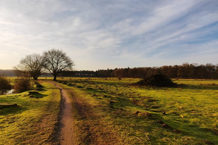 Foto 44 van Zanddijk 40