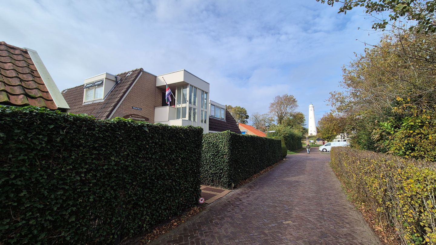 Foto 4 van Torenstreek 19