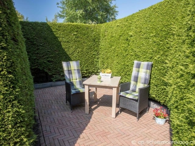 Foto 9 van Torenstreek 19