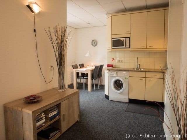 Foto 45 van Torenstreek 19