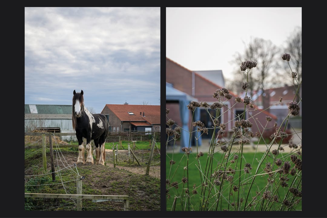 Foto 43 van Meerenstraat 7-B