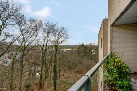 Vogelenzang 6-15 tertiary image