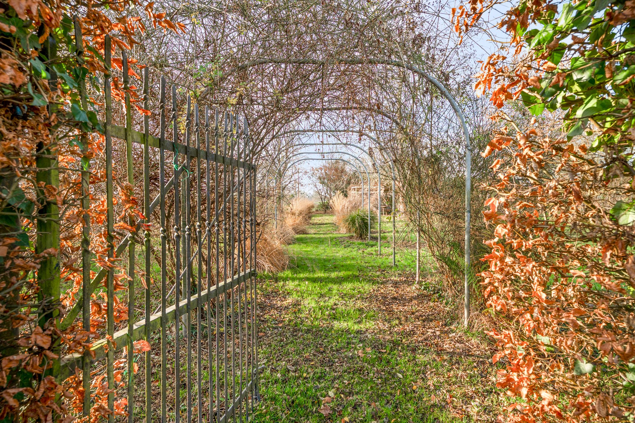 Foto 15 van Raadhuisstraat 69