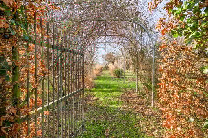 Foto 15 van Raadhuisstraat 69