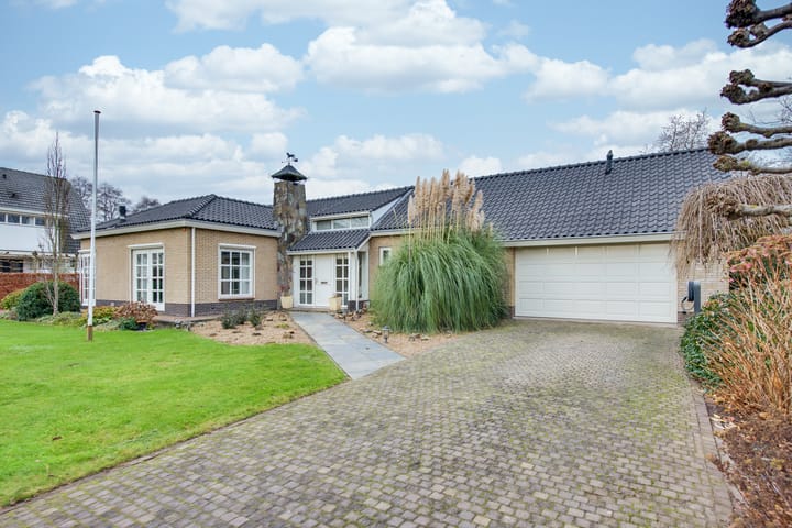 Foto 6 van Transvaal 40