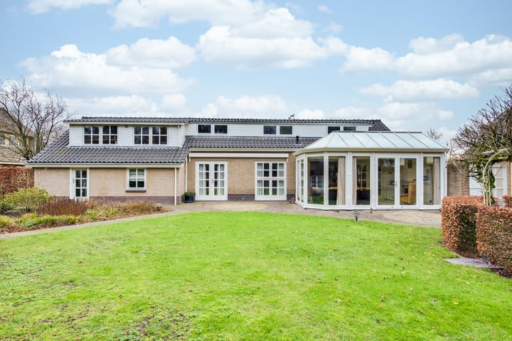 Foto 41 van Transvaal 40