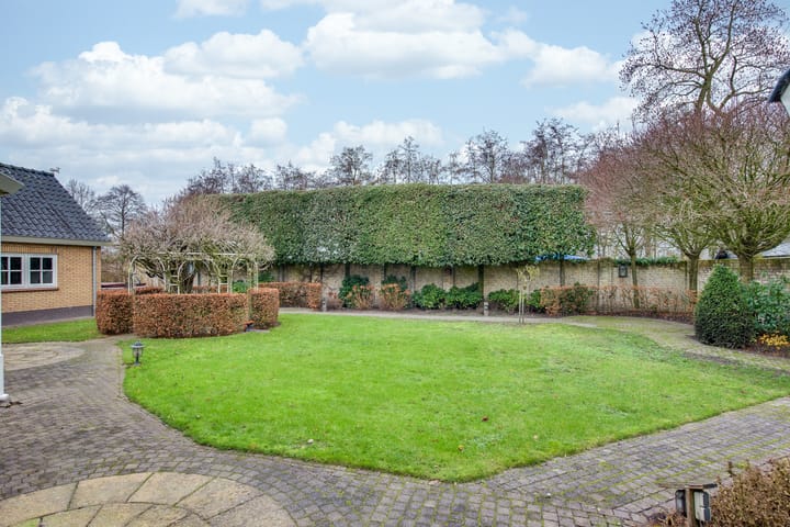 Foto 45 van Transvaal 40