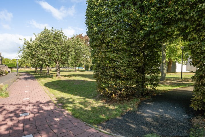 Foto 39 van Logger 28