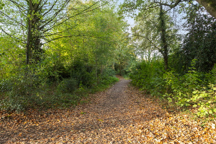 Photo 32 of Hermelijnkwartier 34